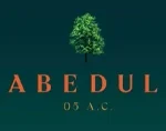abedul