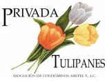 tulipanes